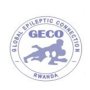 Global Epileptic Connection (GECO) logo