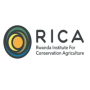 Rwanda Institute for Conservation Agriculture (RICA)  logo