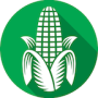 Agricultural Processing Ltd. logo