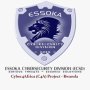 Essoka Cybersecurity Division logo