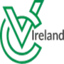 Cv Ireland IE logo