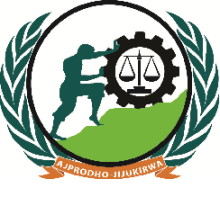 AJPRODHO-JIJUKIRWA logo