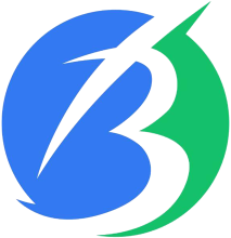 BRAINAE logo