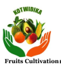 KOTWIDIKA Cooperative logo