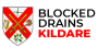 Blocked Drains Kildare logo
