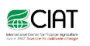 Centro International de Agricultura Tropical logo