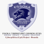 Essoka Cybersecurity Division logo