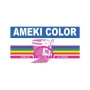 AMEKI Color logo