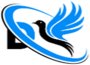 The Dove Investment Company Ltd (DICo) logo