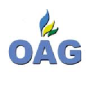 Office of the Auditor General  logo