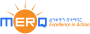 MERQ Consultancy PLC logo