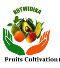 KOTWIDIKA Cooperative logo
