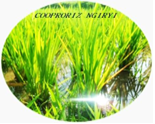 COOPRORIZ Ngiryi logo
