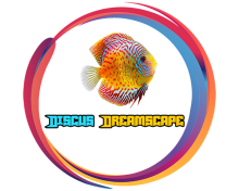 Discus Dreamscape logo