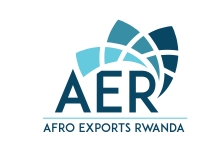 afro experts logo