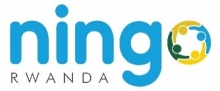 Network of International NGOs (NINGO) logo