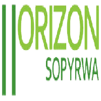 Horizon Sopyrwa Ltd  logo