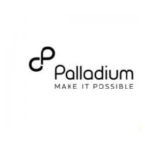 Palladium Rwanda Limited  logo