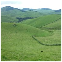 Rwanda Land Management and Use Authority  logo