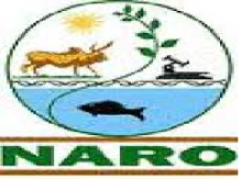 The National Agricultural Research Organisation logo