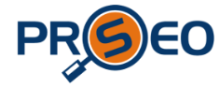 PRO SEO Kerry logo