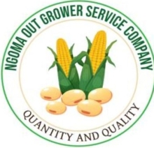 Ngoma Outgrower Service Company Ltd logo