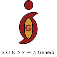 Sonarwa General  Insurance Company logo