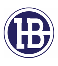 ZHAVILAH BUSINESS GROUP logo