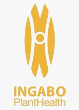 INGABO Syndicate logo