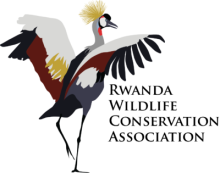 Rwanda Wildlife Conservation Association (RWCA) logo