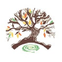 Preferred Micro Finance Ltd (PMFL) logo