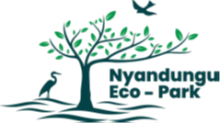 Nyandungu Eco Park logo