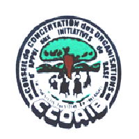 Conseil de Concertation des Organisations d’Appui aux Initiatives de Base (CCOAIB)  logo
