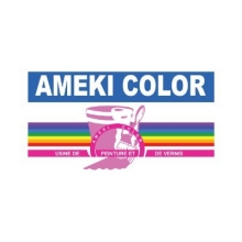 AMEKI Color logo