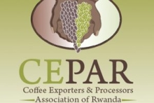 Coffee Exporters and Processors Association in Rwanda (CEPAR) logo