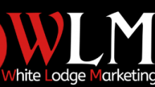 WLM SEO Ireland  logo