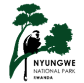 Nyungwe Management Company Ltd  logo