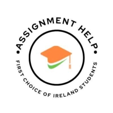 Assignment Help Ireland logo