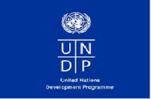 United Nations  Development Programme logo