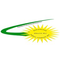 FINANCIAL SAFETY COMPANY(FISA Co) Ltd logo