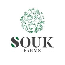 SOUK IG Ltd logo